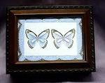 Butterfly Musical Picture Frame Box #PB2044