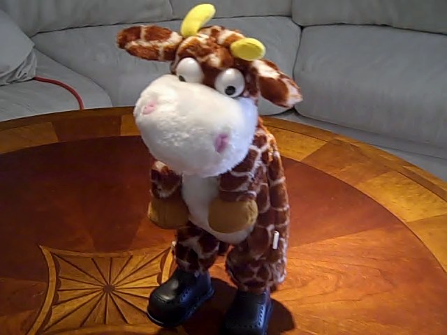 dolce musical giraffe